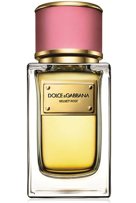 dolce gabbana rose perfume|Dolce & Gabbana perfume price.